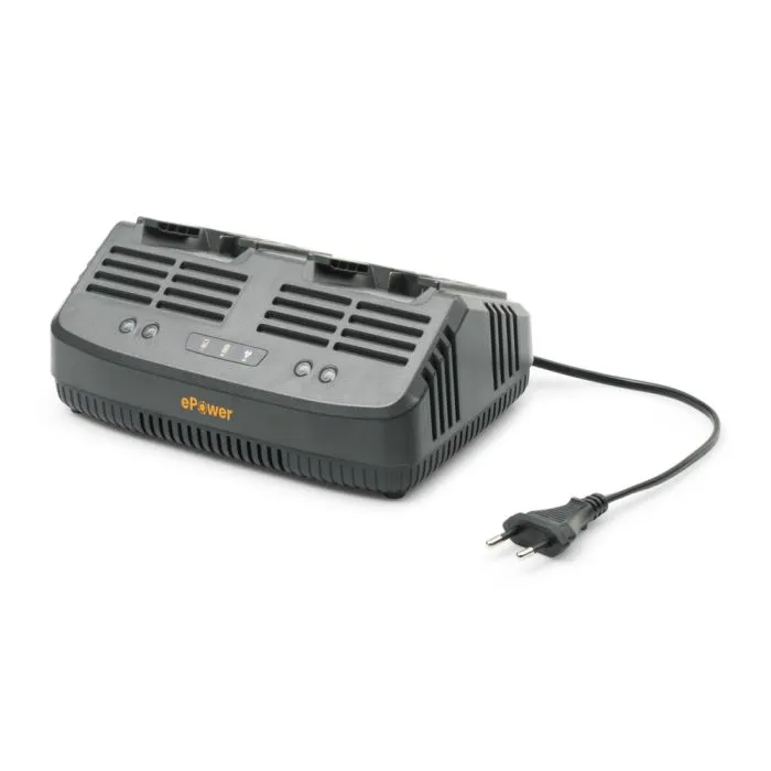 C 215 DM DUAL CHARGER 20V