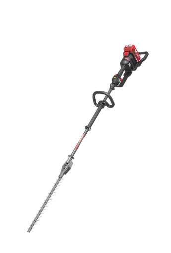 [KC241.9] Taille-haie sur perche 60 V de qualité professionnelle KC241.9